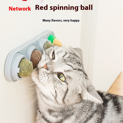 Catnip silvervine balls wall-stick option — non-electric enrichment toy