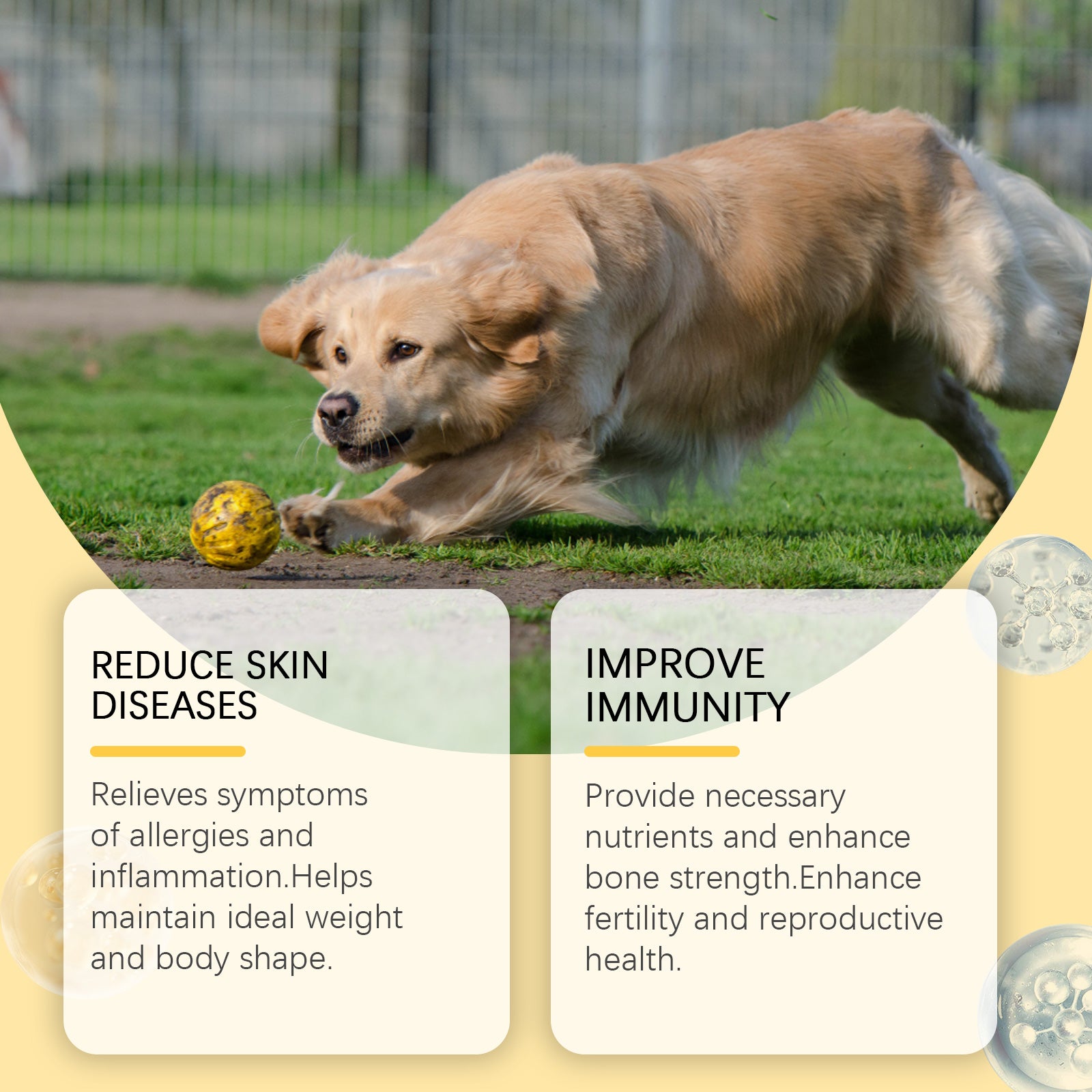 Dog fish oil skin coat supplement photo 4