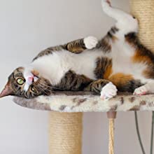 Suction cup windmill cat toy detail