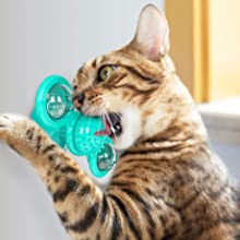 LED catnip windmill cat toy play