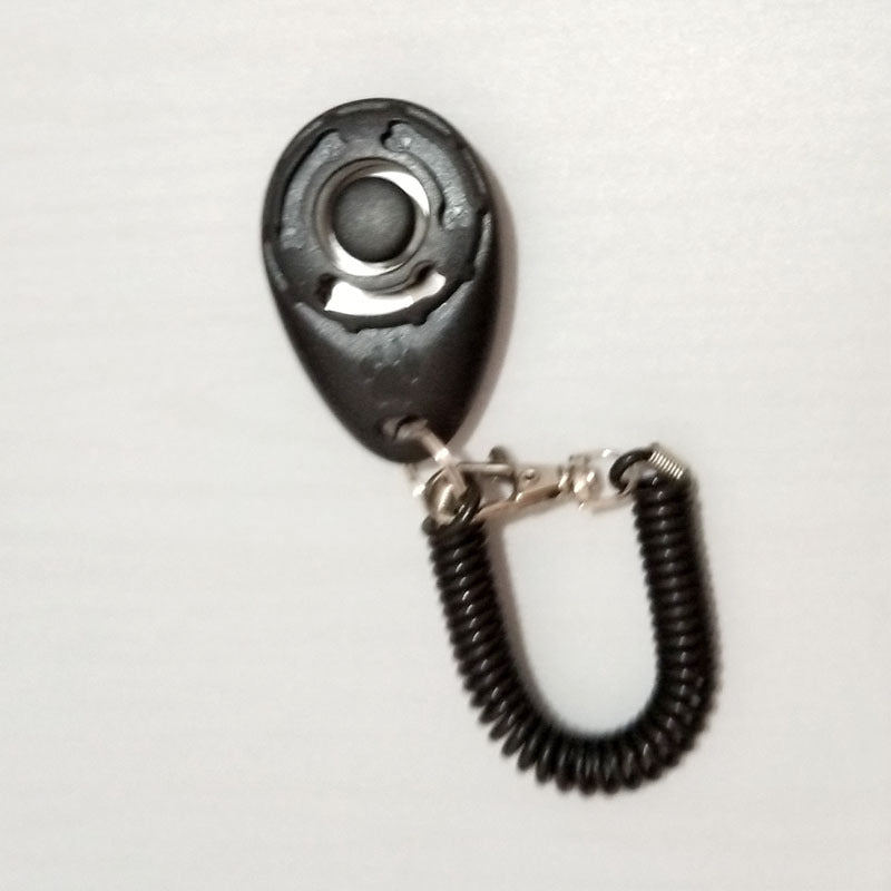 dog training clicker detail 2