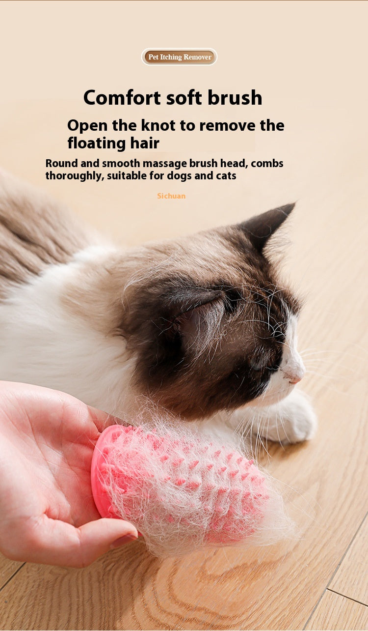Indoor cat corner massage brush