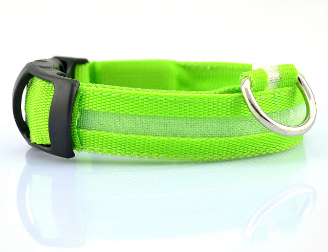 led dog collar for night walks rechargeable detail 6
