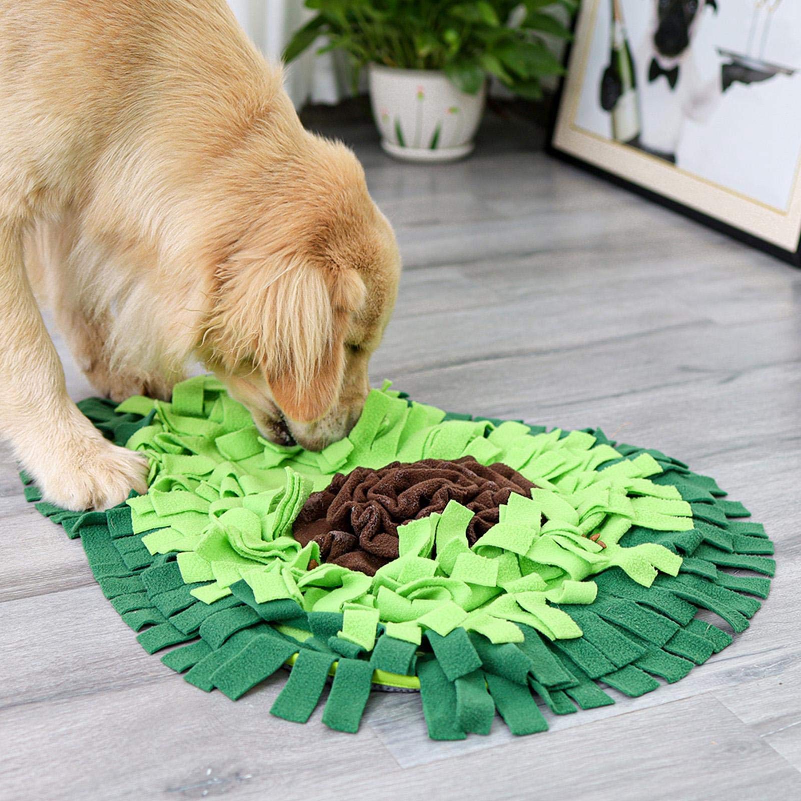 Dog snuffle mat interactive foraging puzzle feeding mat