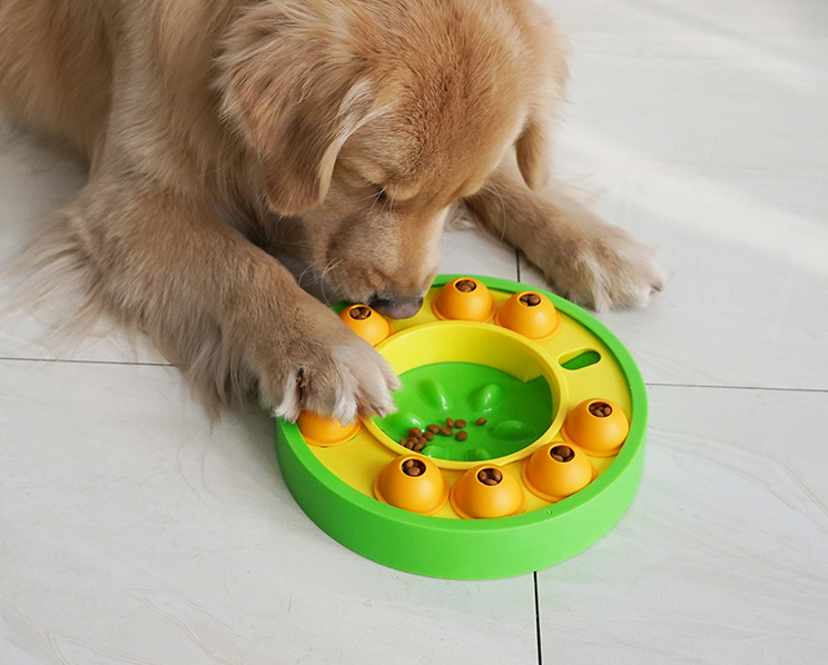 Slow eating dog puzzle feeder bowl detail