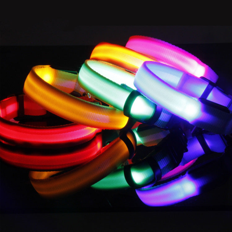 led dog collar for night walks rechargeable detail 2