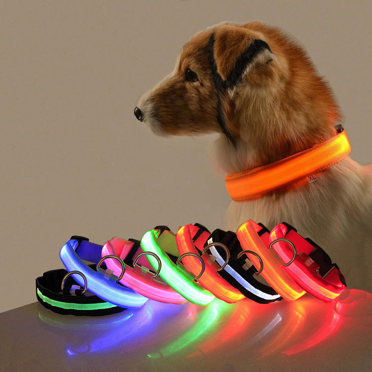 led dog collar for night walks rechargeable