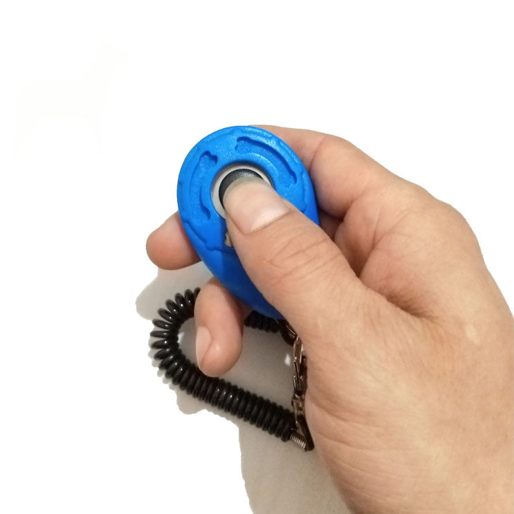 dog training clicker detail 3