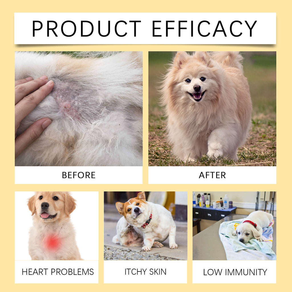 Dog fish oil skin coat supplement photo 5