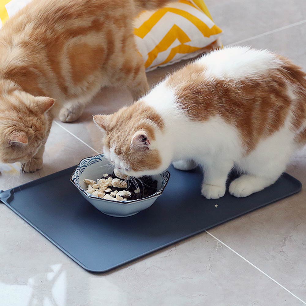 Waterproof Silicone Pet Food Mat – Non-Slip Feeding Placemat