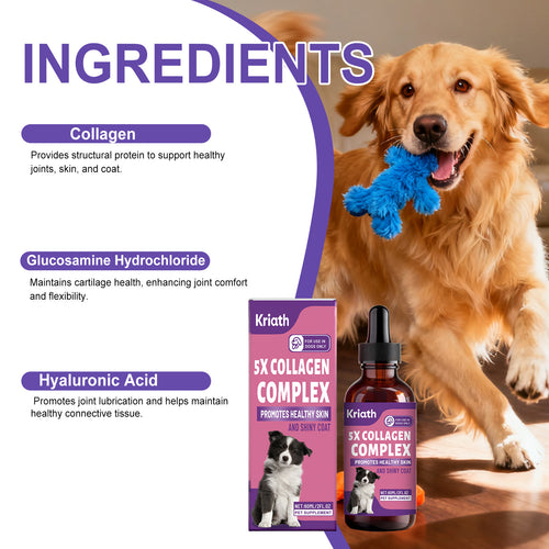 Dog collagen drops for joint and coat support bottle