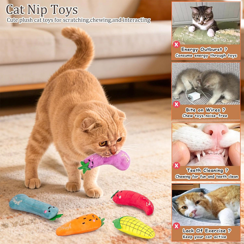 5 pack vegetable catnip kick toys US warehouse