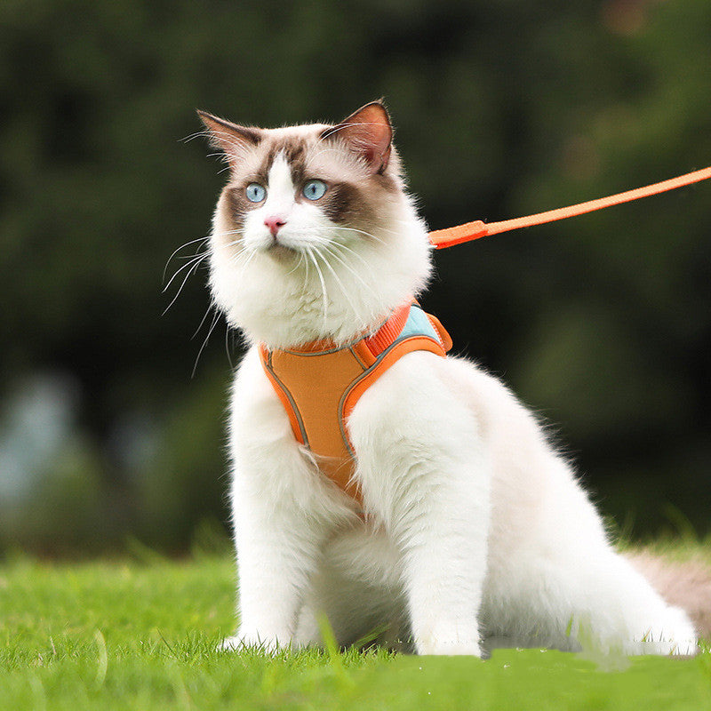 Escape Proof Cat Harness and Leash – Reflective Vest for Walking 1