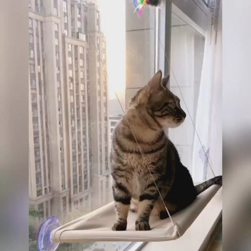 Cat window perch hammock