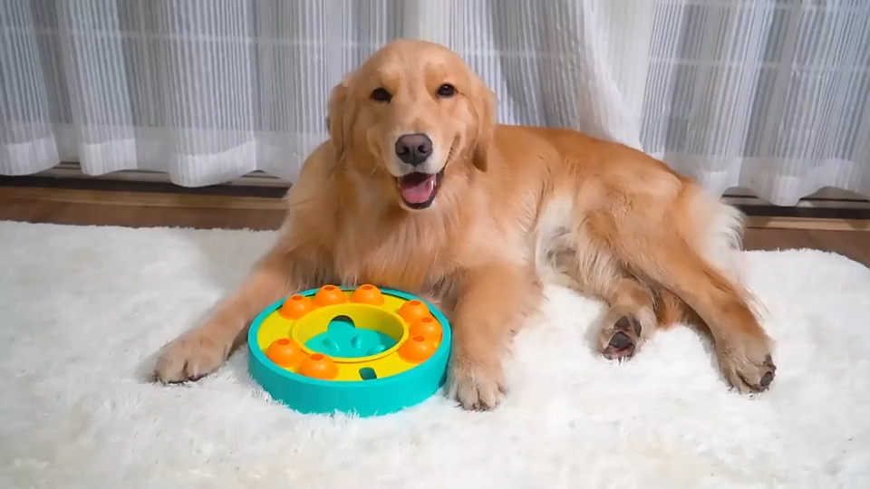 Dog puzzle feeder slow eating IQ bowl Lake Blue