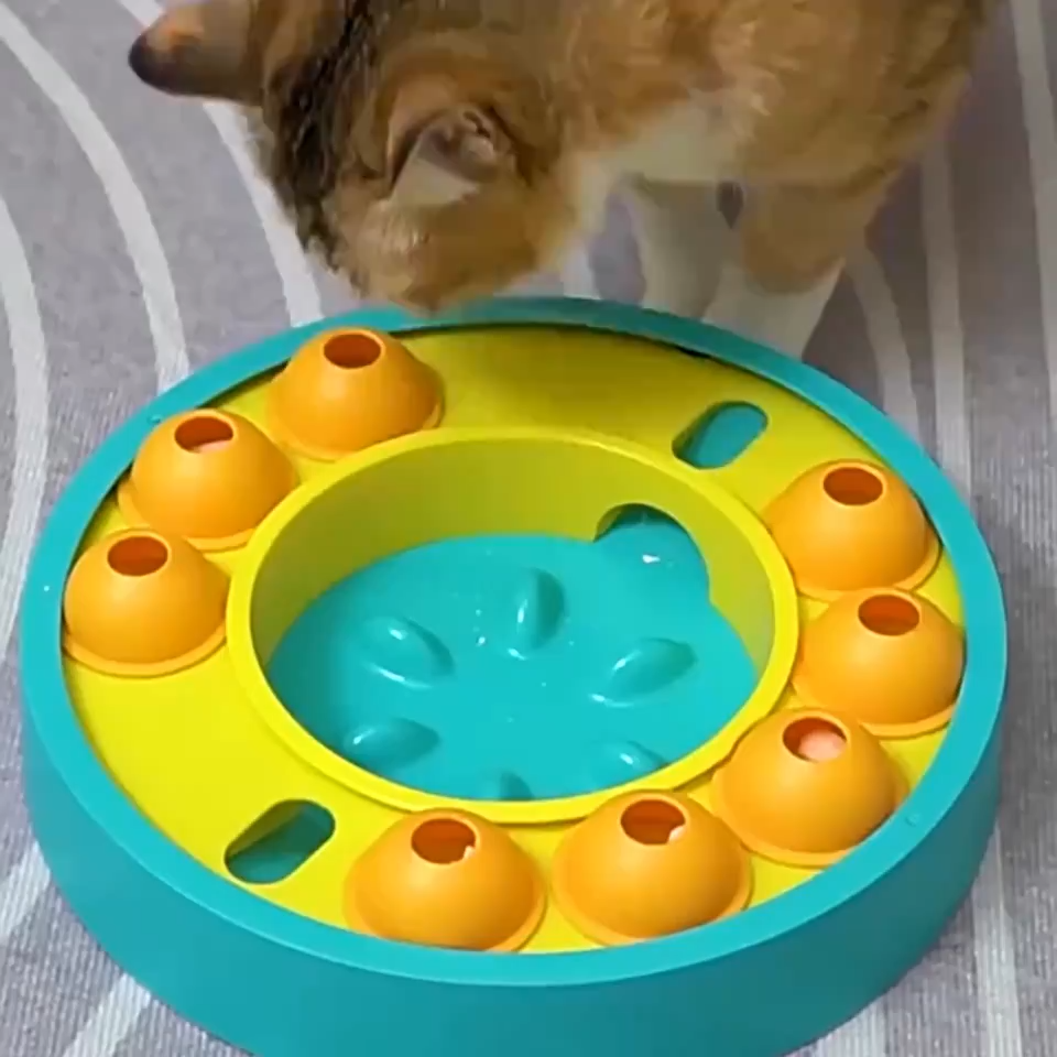 Dog puzzle feeder spinner tray with kibble