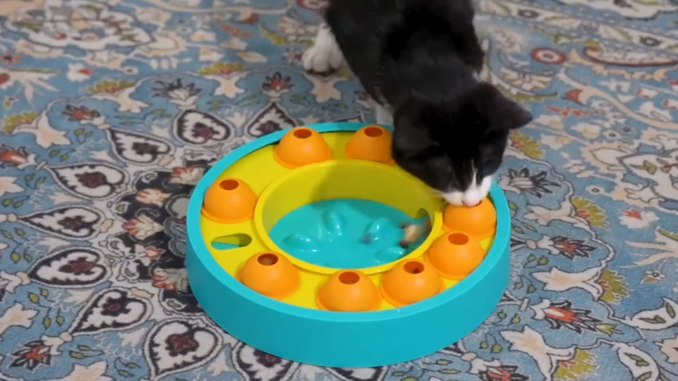 Interactive dog puzzle feeder non-slip base