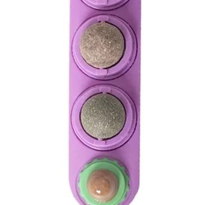 Purple bag catnip silvervine dental balls — indoor cat enrichment